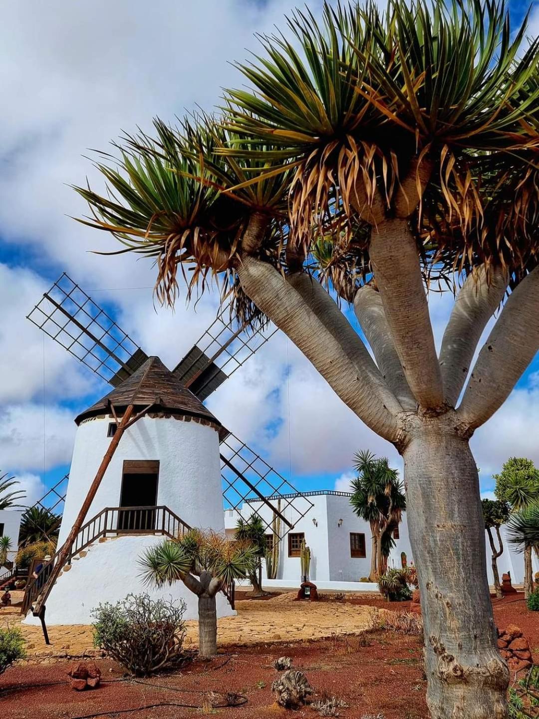 Casa Del Mar Air-Conditioned Apartment With Swimming Pools - Corralejo Playa Exteriör bild