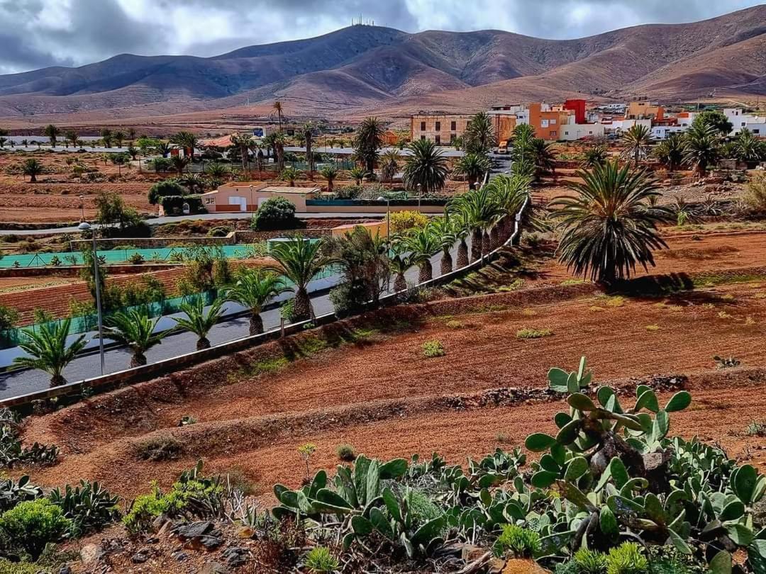 Casa Del Mar Air-Conditioned Apartment With Swimming Pools - Corralejo Playa Exteriör bild