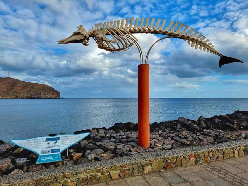 Casa Del Mar Air-Conditioned Apartment With Swimming Pools - Corralejo Playa Rum bild